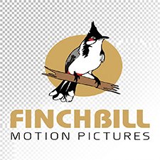 FINCHBILL MOTION PICTURES PRIVATE LIMITED